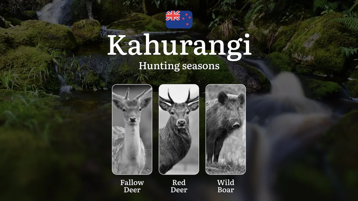 KAHURANGI National Park, New Zealand: Hunting Periods, Opening and Closing Dates, Licenses, Rules, and Best Times for Hu…