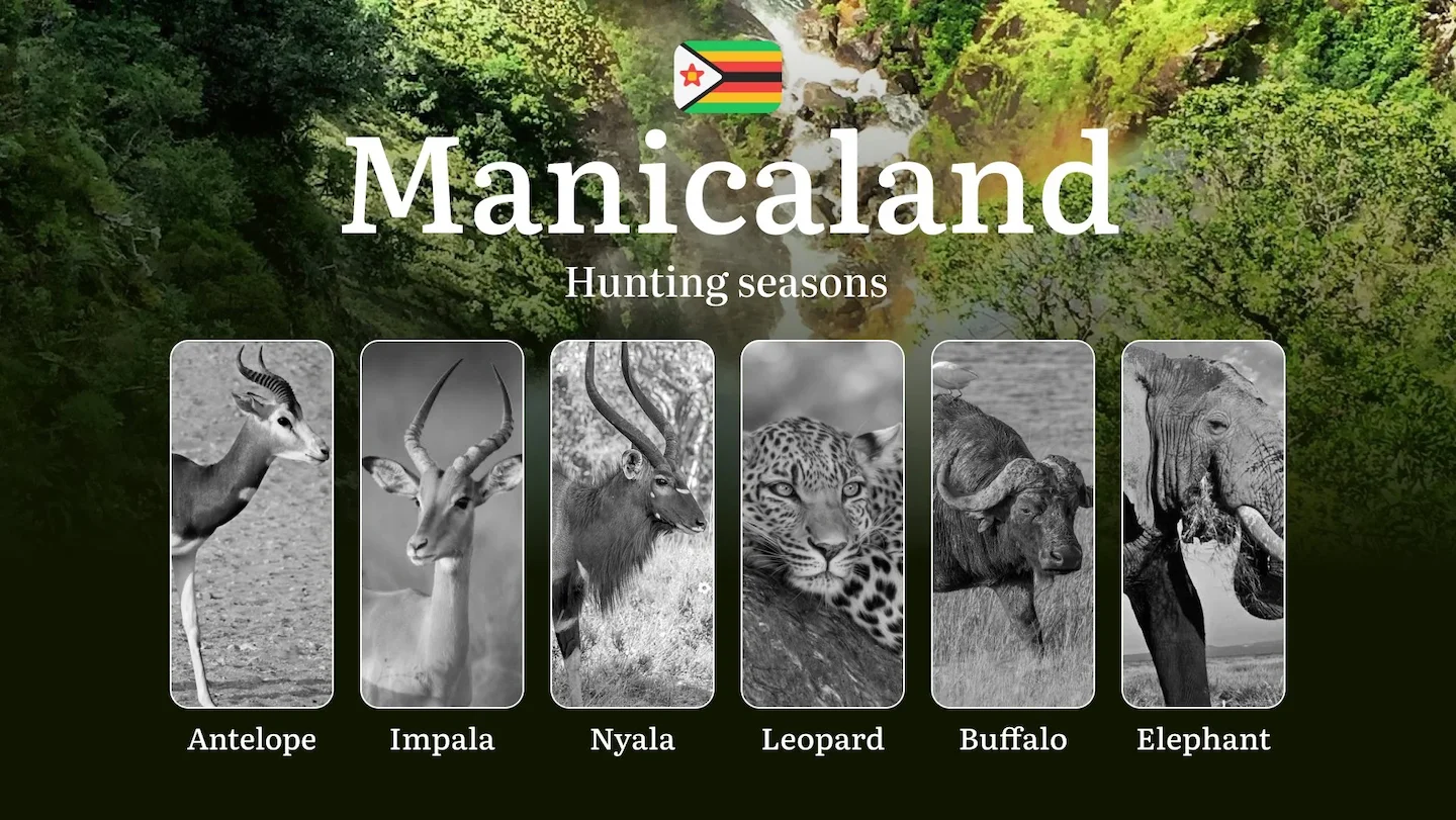 Seasons of Hunting in MANICALAND, Zimbabwe: Hunting Seasonality, Restrictions and Bans, Penalties for Violating Hunting