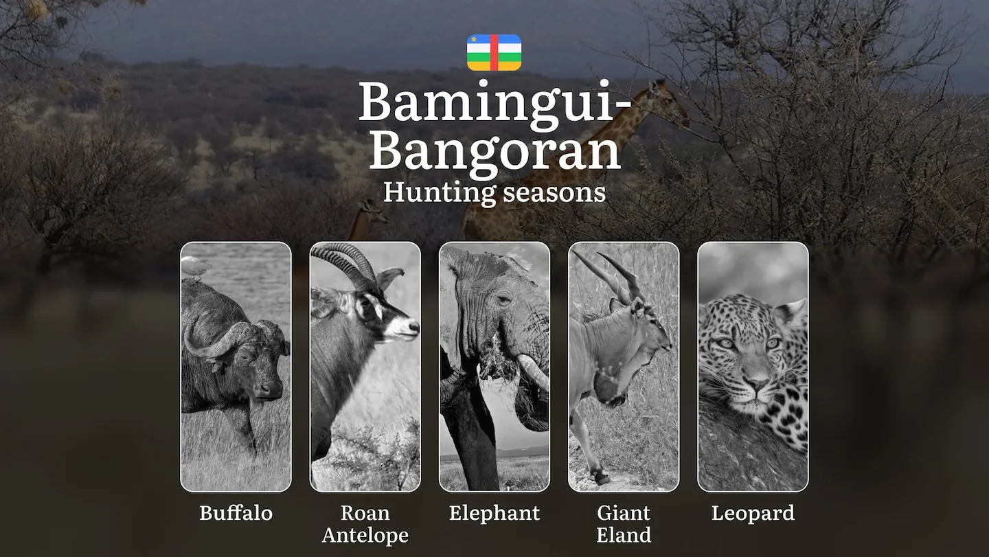 Hunting Laws and Seasons in Bamingui-Bangoran: General Hunting Rules, Permits, Restrictions & Time-Honored Events