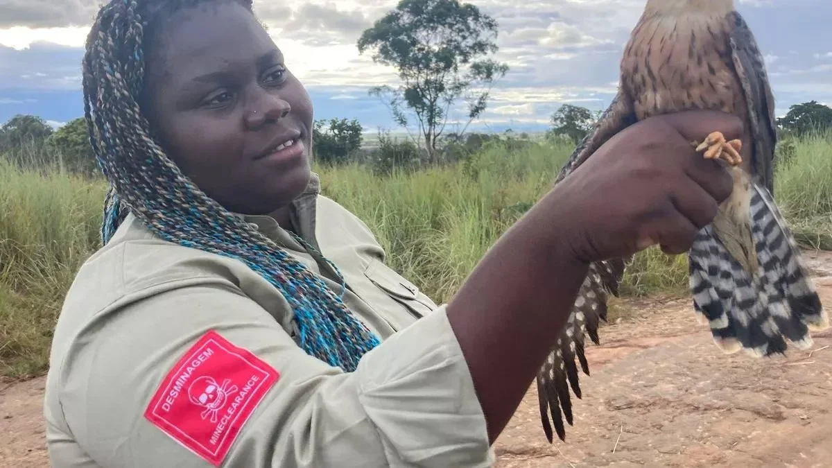 Hunting in Huambo, Angola: Game Species, Hunting Methods, Seasons, Clubs, Key Facts and Traditions