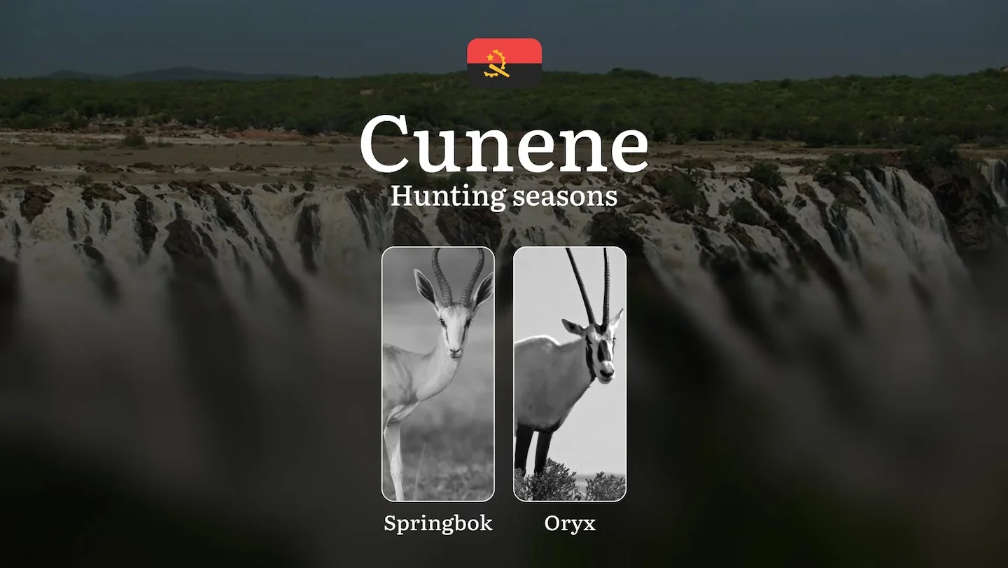 Hunting Calendar in Cunene: The Thrill of Hunting Events and Traditions, Legislation & General Hunting Rules and Permits…