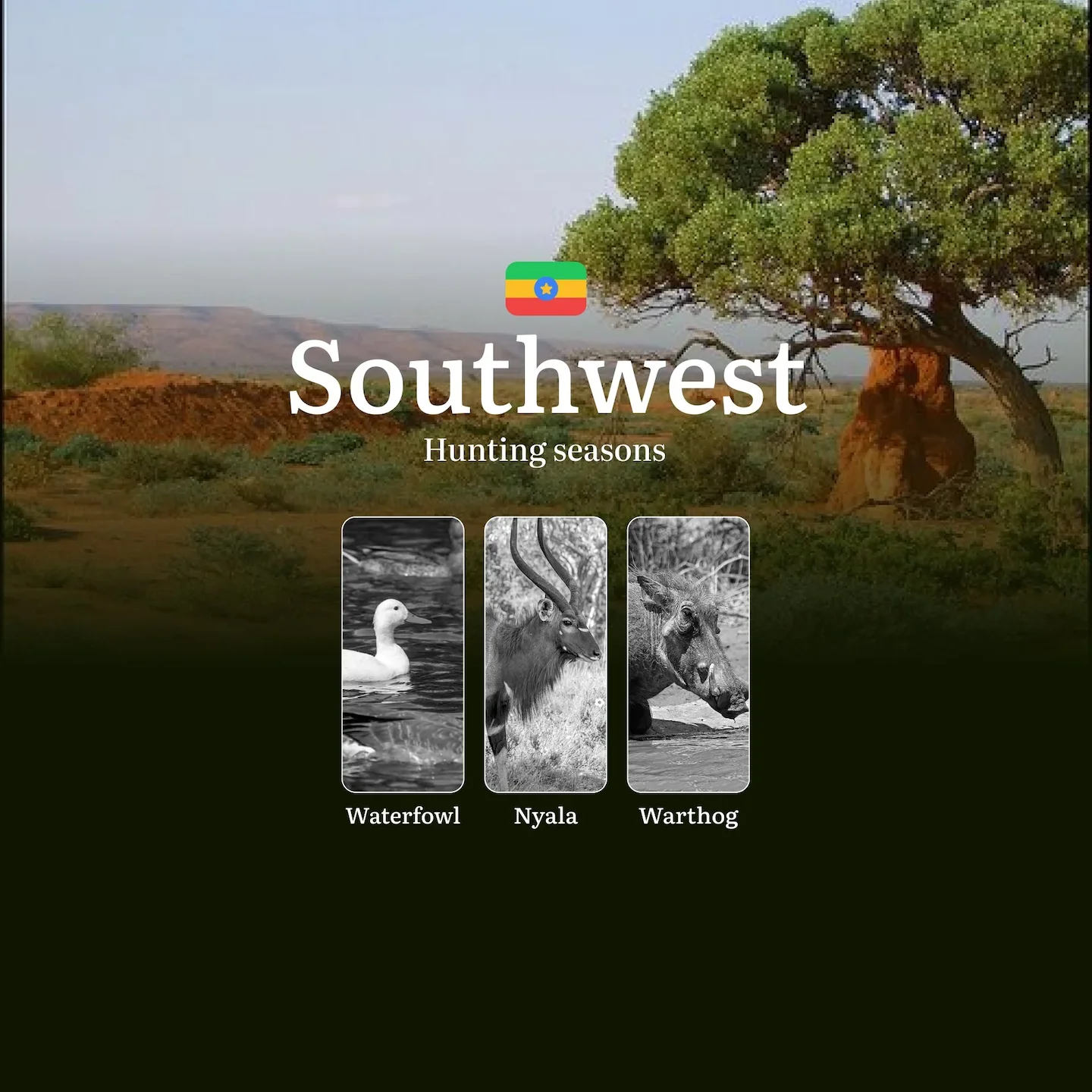 Seasons of Hunting in Ethiopia’s SOUTHWEST Region: Seasonality, Licenses, and Rules for Successful Hunting, Restrictions…