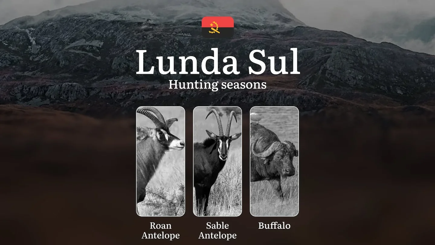 Hunting Calendar in Lunda Sul: The Thrill of Hunting Events and Traditions, Legislation & General Hunting Rules and Perm…