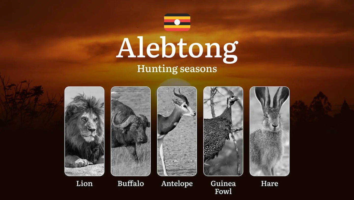 Alebtong: Designated Hunting Periods, Legal Limits and Seasonal Restrictions, Licensing Rules, Penalties for Violations,…
