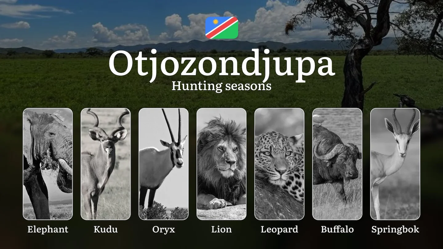 Hunting Seasons in Otjozondjupa: Territorial Regulations, Getting Licensed, Legal Risks, Planning, and Equipment Choices…