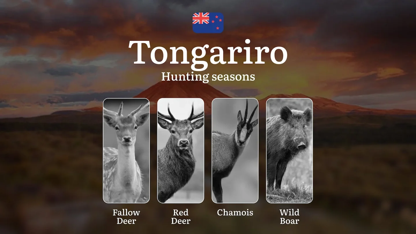 TONGARIRO National Park Hunting Seasons, Regulations, Licenses and Tips, Game Types and Best Times for Hunting, Gear and…