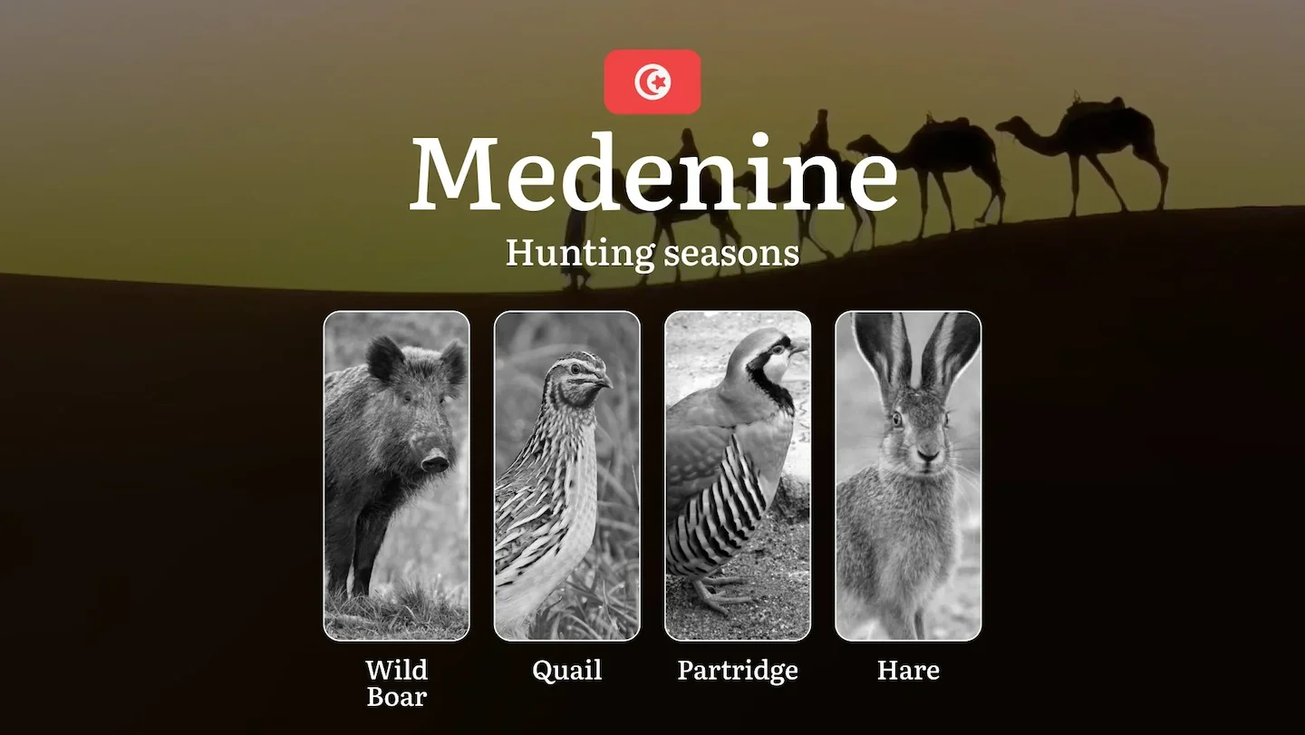 Hunting Seasons in MEDENINE: Optimal Periods, Regulatory Protections, Restricted Periods, Licensing Process and Practica…