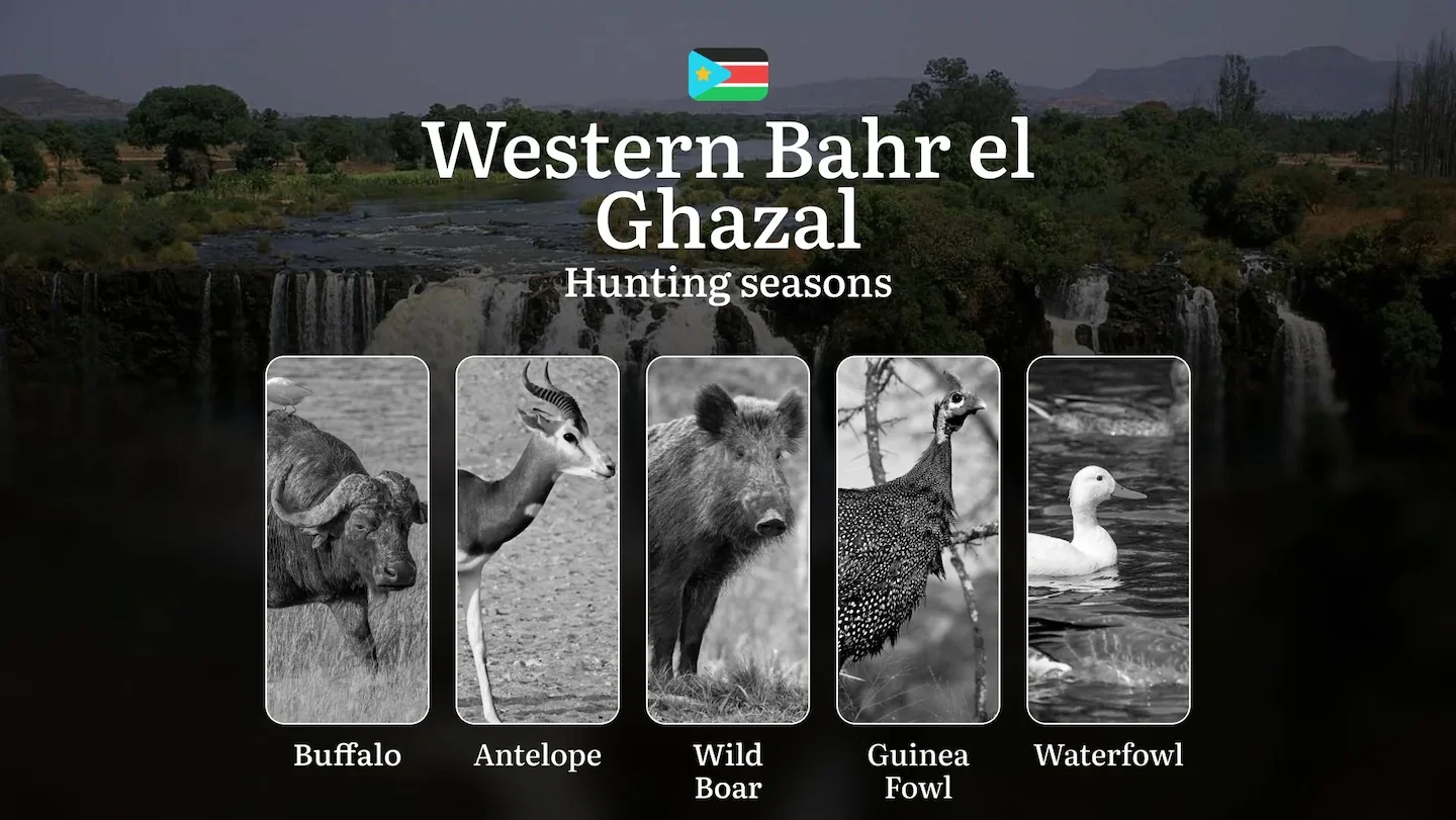 Hunting Calendar for Western Bahr el Ghazal: Regulations, Permits, and Best Times for Hunting