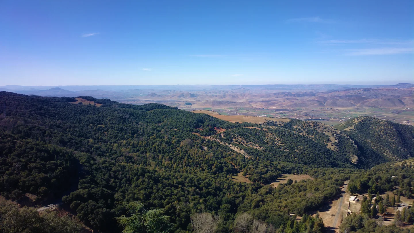 Ifrane National Park Regulations: Hunting Is Prohibited - What A Hunter Needs To Know