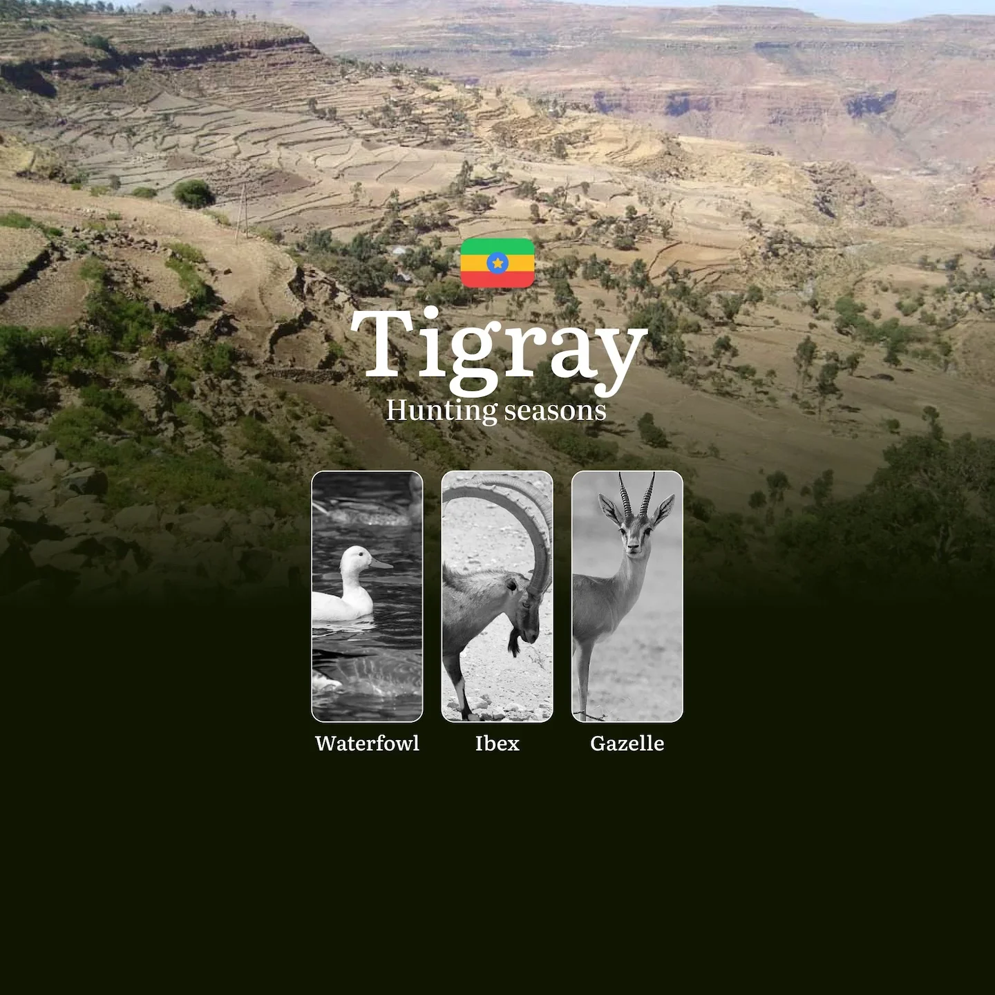 TIGRAY Region, Ethiopia: Hunting Seasons, Features, Licenses and Current Regulations, Recommendations for Choosing Time…