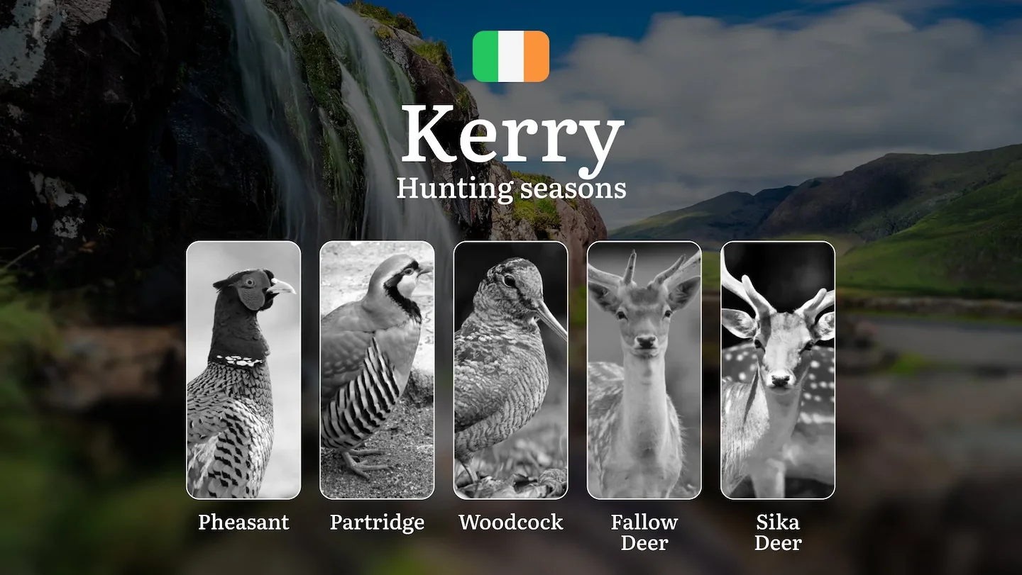 Following the Wild Pulse: Hunting Calendar, Seasons, Rules, and Rhythms in County KERRY