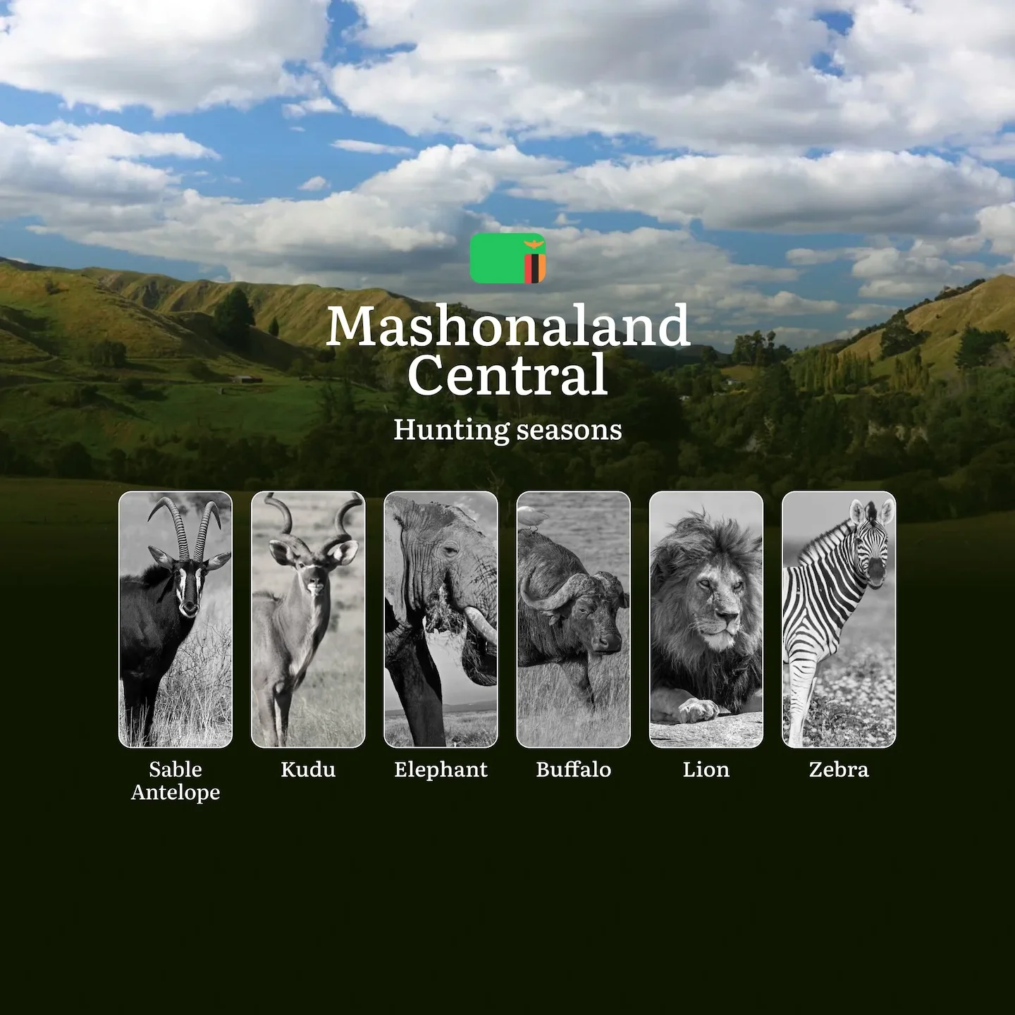When the Dry Season Calls: Hunting Calendar, Regulations and Prime Opportunities in Zambia's Mashonaland Central