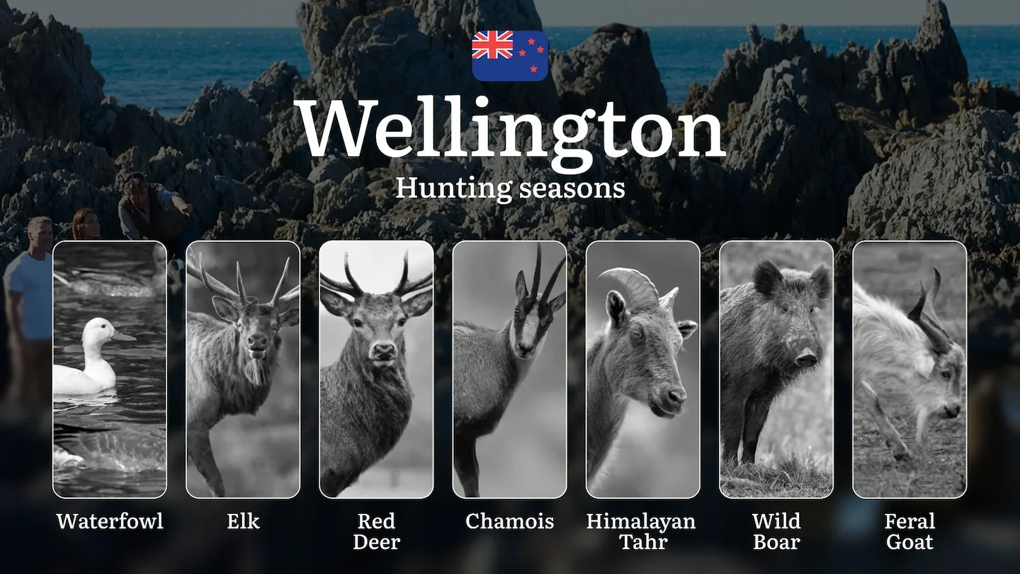 WELLINGTON: Hunting Seasons, Rules, and Best Times for Game, Hunting Events and Competitions, Restrictions and Prohibite…
