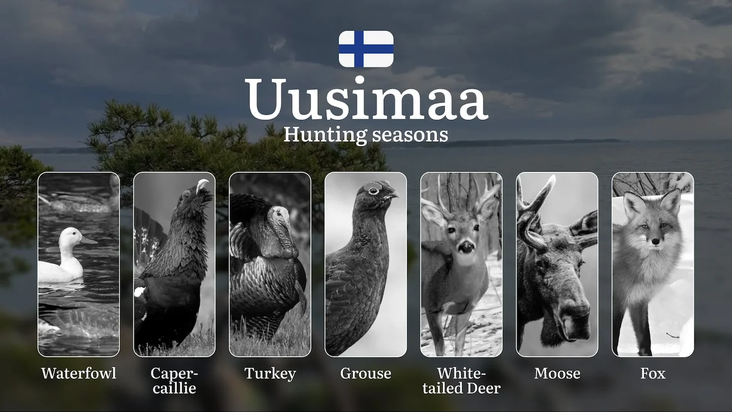 Hunting Seasons in UUSIMAA: Key Dates, Required Licenses, Seasonal Variations,  Prohibitions and Vital Rules
