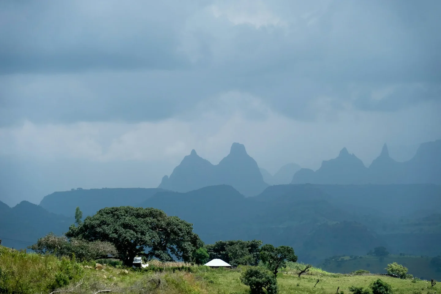 Exploring Southwest Ethiopia Hunting: Unveiling Stunning Regional Features, Navigating Essential Laws, and Discovering H…