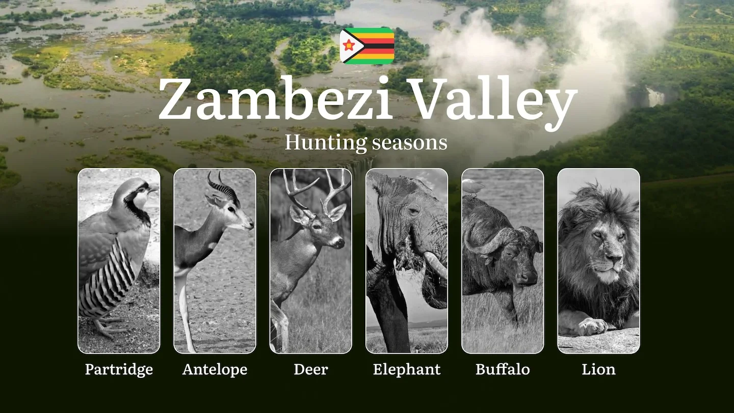 Hunting Seasons in Zimbabwe’s ZAMBEZI VALLEY: Hunting Periods, Open and Close Dates, Licenses, Rules and Times for Hunti…