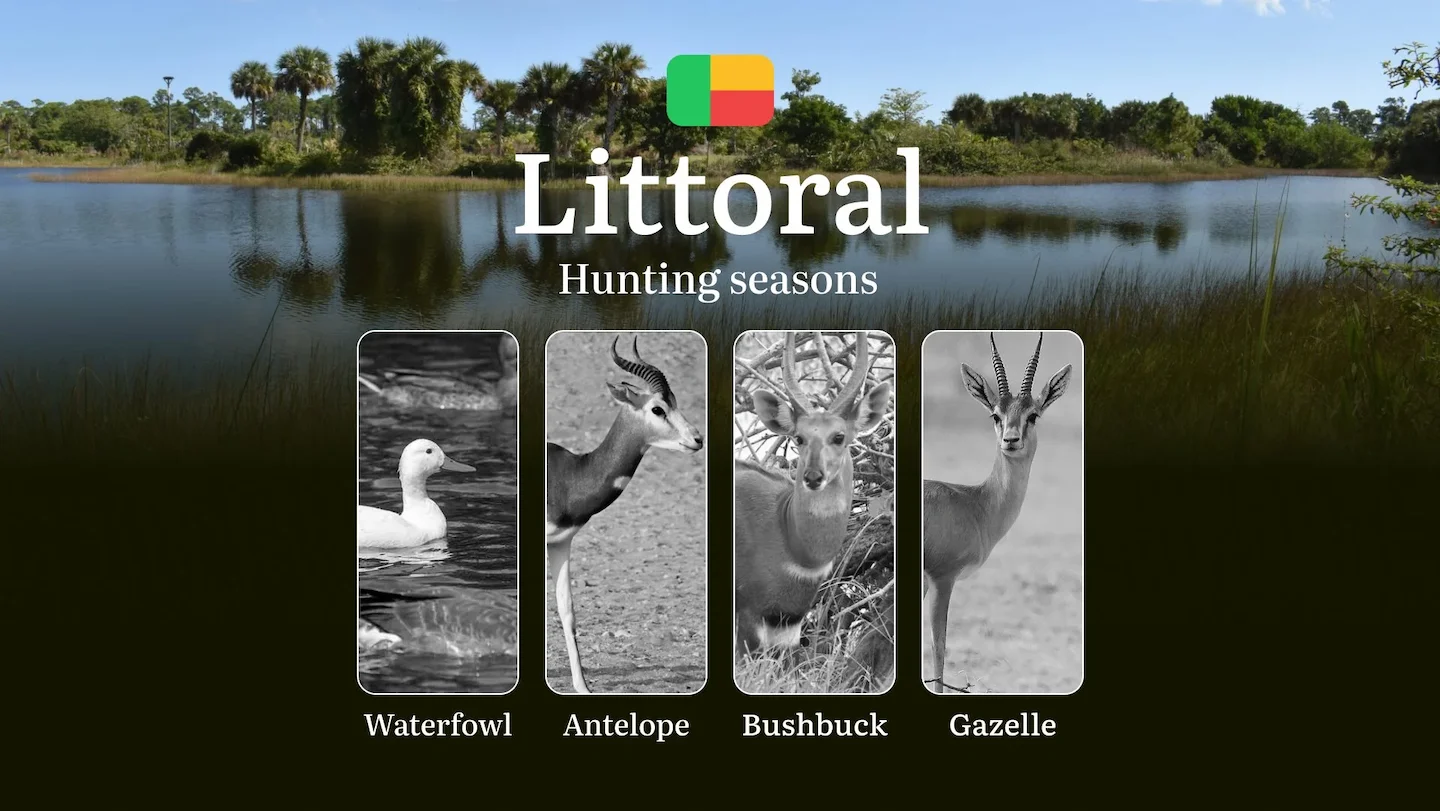 Hunting Time in Benin’s LITTORAL Region: Hunting Periods, Openings and Closings, Licenses, Rules, and Times for Game
