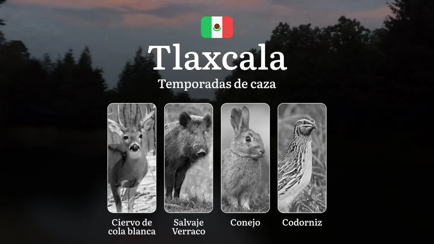 Temporadas y períodos de Caza en Tlaxcala: Patrones Estacionales y Regulaciones, Cómo Obtener un Permiso de Caza en la R…