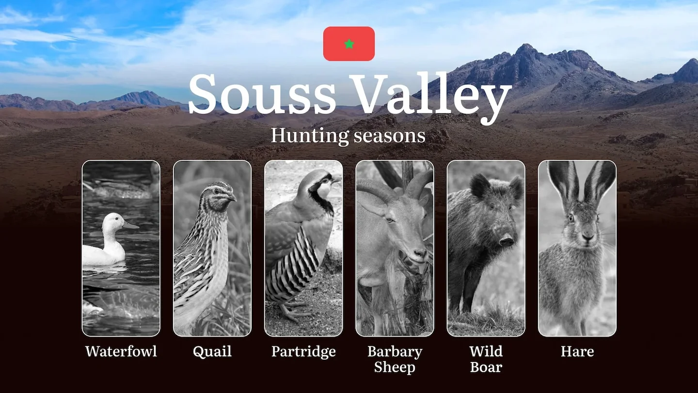 Hunting Periods and Permits in Souss Valley: A Detailed Look at Game Movement Throughout the Year, Seasonal Limits, and…