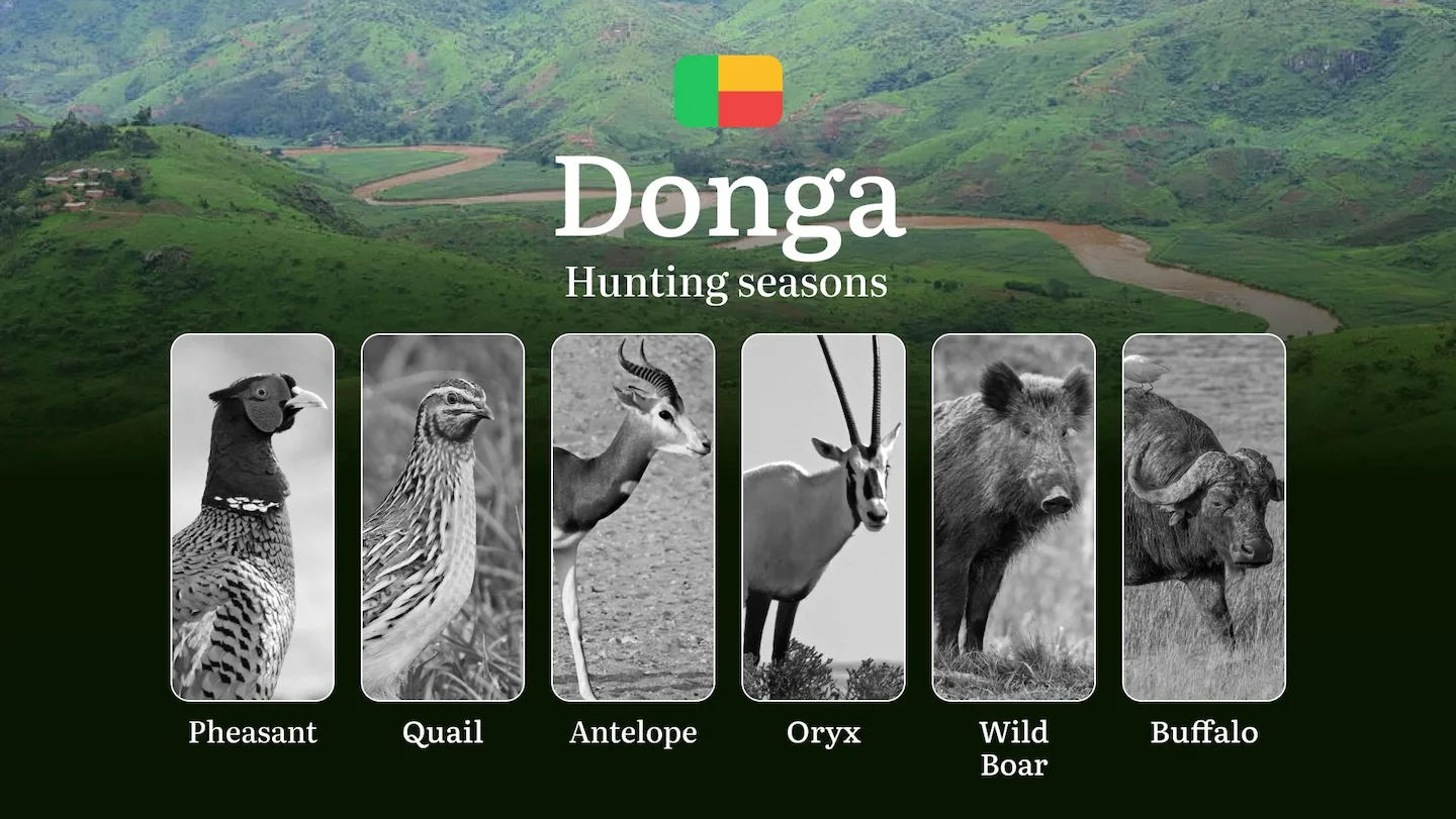 Dates of Hunting in Benin's DONGA Region: Hunting Periods, Licenses, Rules, Times and Seasons of Hunting