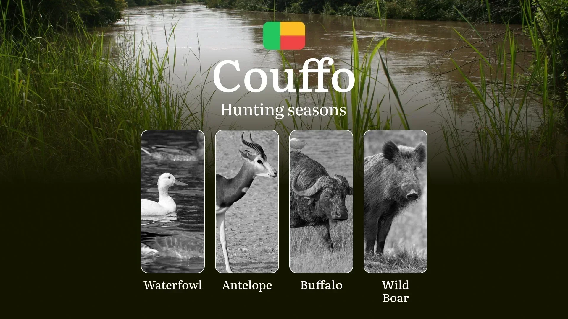 Hunting Time in Benin, COUFFO Region: Key Dates and Rules, Restrictions and Bans, Practical Tips of Choosing the Right Time and Location