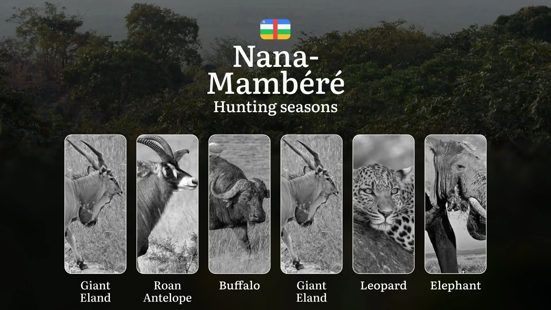 Hunting Seasons of Nana-Mambéré: Exploring General Hunting Rules, Legislation and Permits, Hunter Events and Cultural Experiences