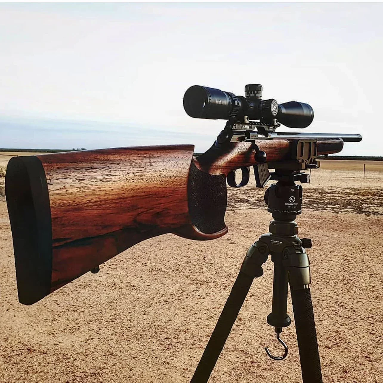 CZ 457 MTR .22 LR Review: Match-Grade Rimfire Rifle for Precision Shooting and Small Game Hunting