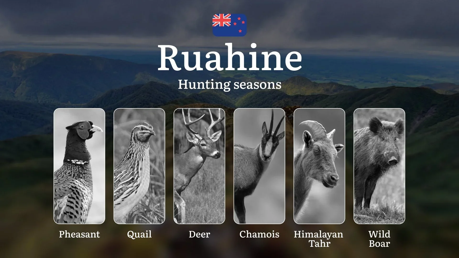 RUAHINE Forest Park Guide: Seasonality of Hunting, Restrictions and Prohibitions, Tips for Choosing the Right Time, Location, Gear, and Tactics