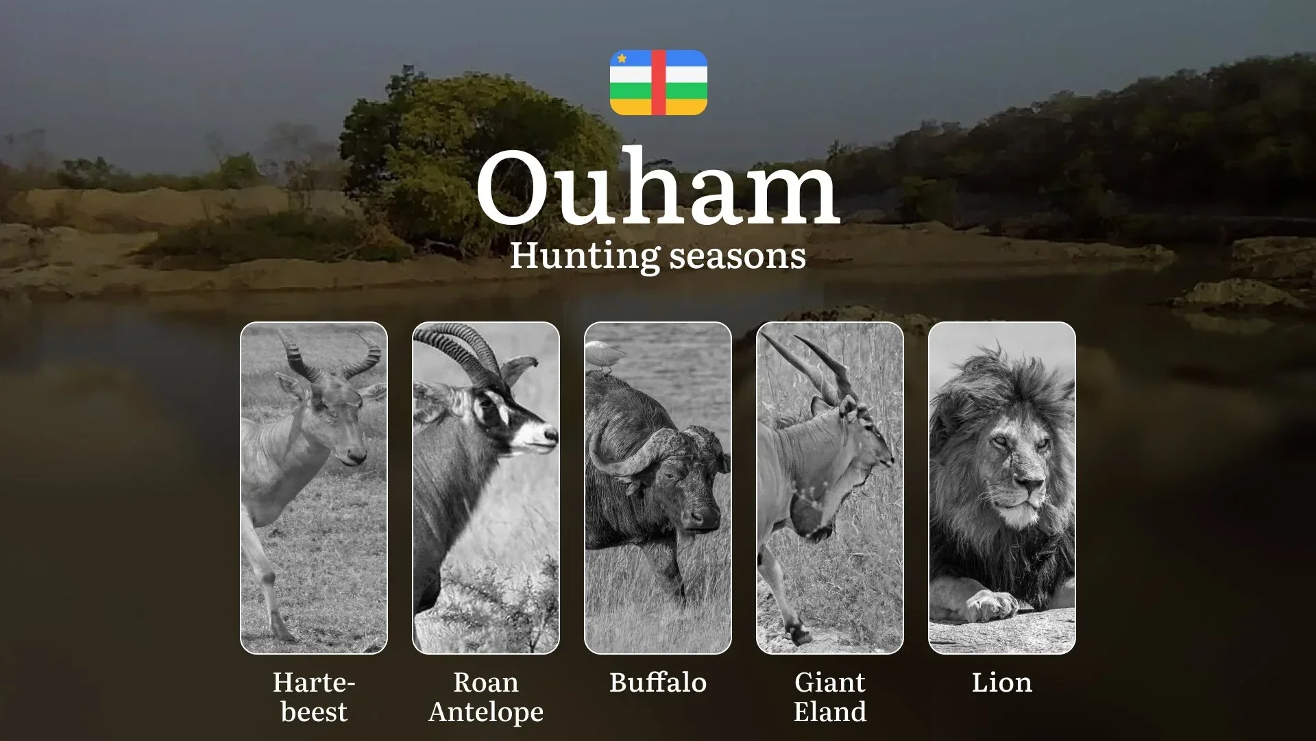 Hunting Calendar in Ouham: The Thrill of Hunting Events and Traditions, Legislation & General Hunting Rules and Permits