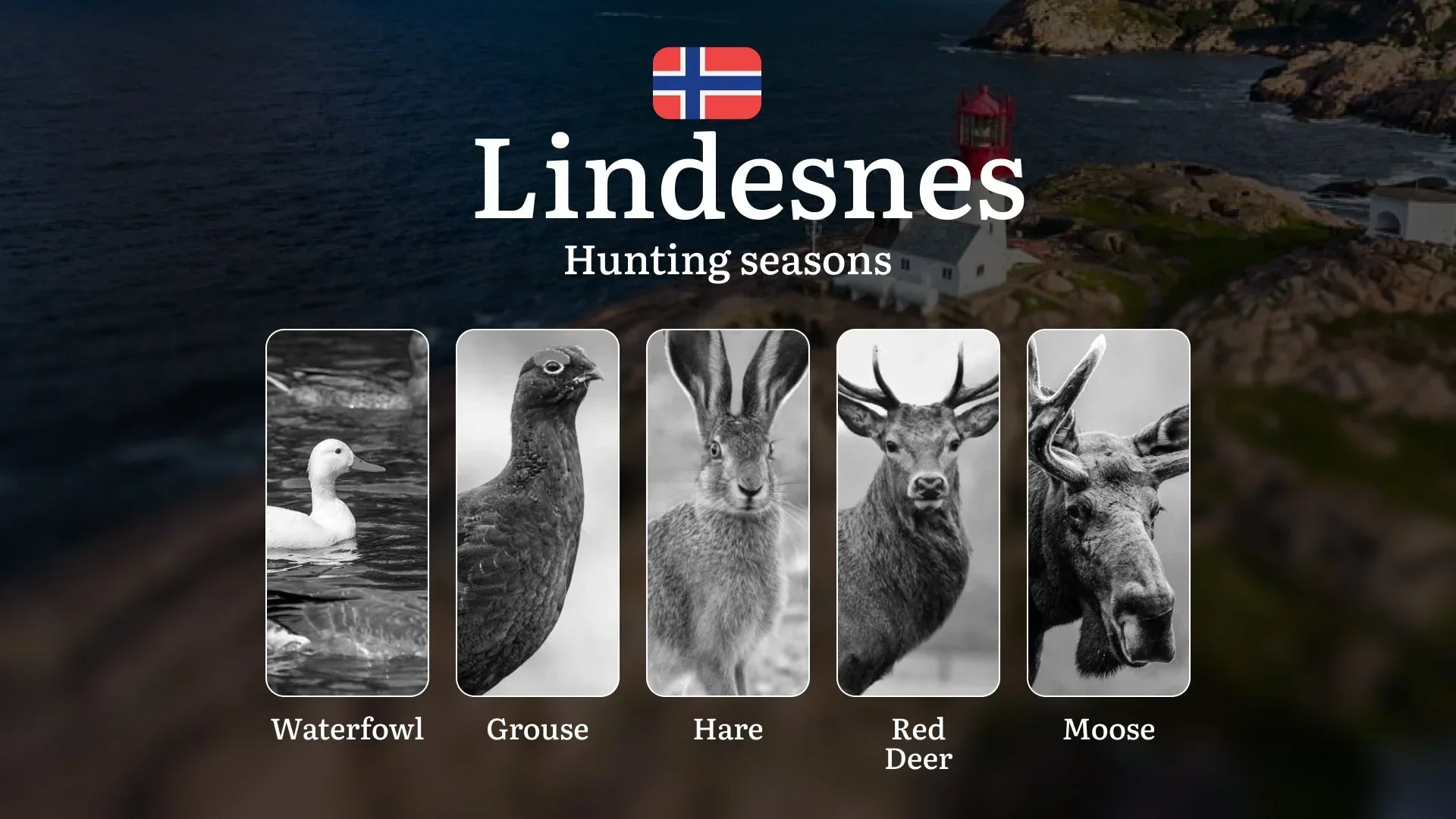 Hunting Dates in Lindesnes: Seasonality of Hunting, Timing and Regulations, Hunting Permits, Restrictions and Prohibitions