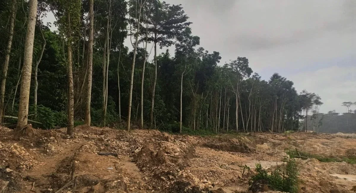 Ghana Repeals Mining Law: Verified Forest Data for Outdoor Communities