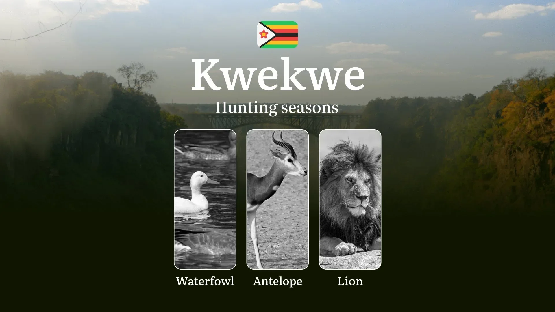 Hunting Seasons in Zimbabwe, the KWEKWE Region: Times and Dates, Restrictions and Prohibitions, Restrictions and Prohibitions on Hunting