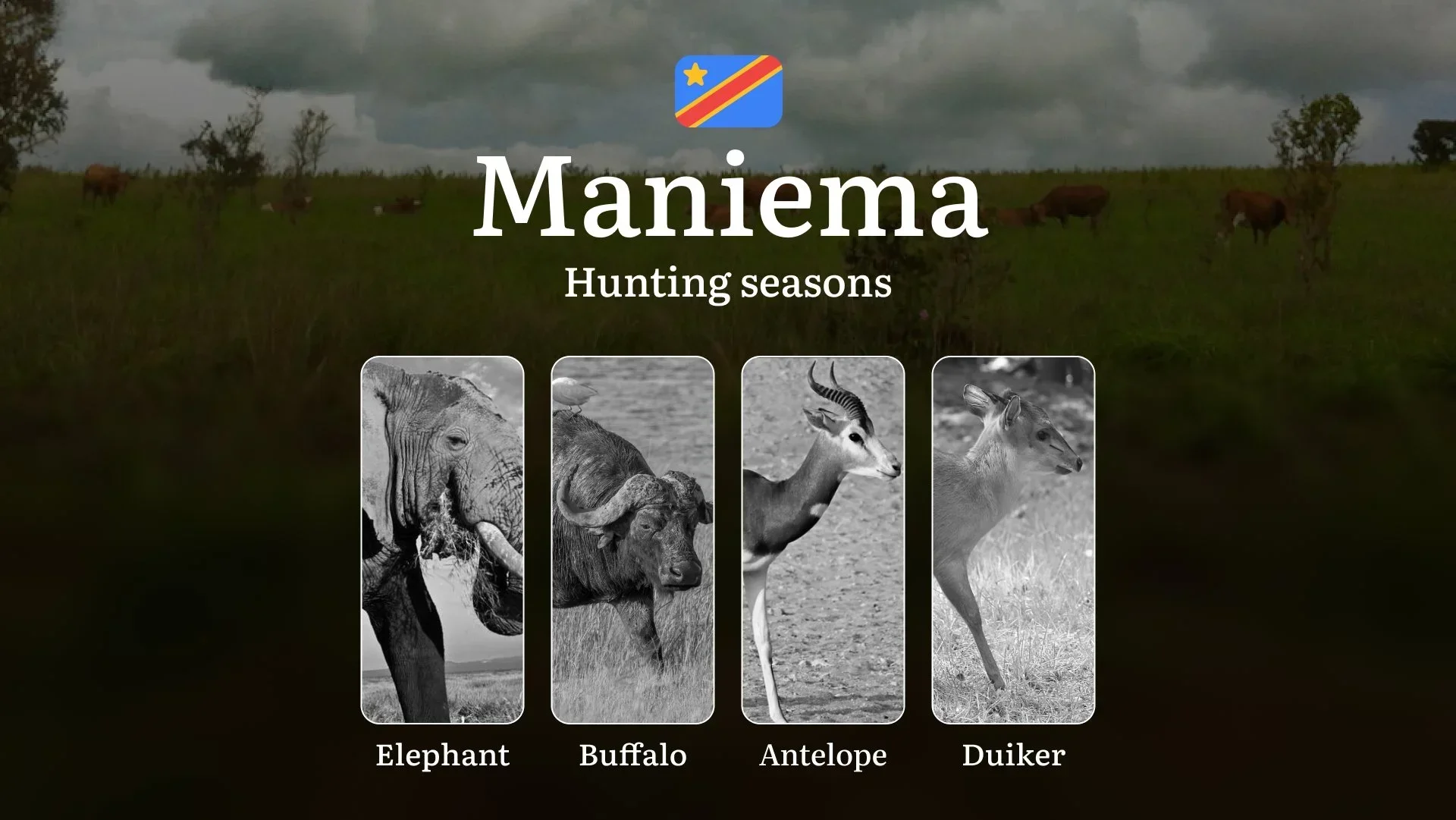 Seasonal Hunting Periods in Maniema: Seasonal Game Patterns, Licensing Rules, Documents, and Hunting Closures 