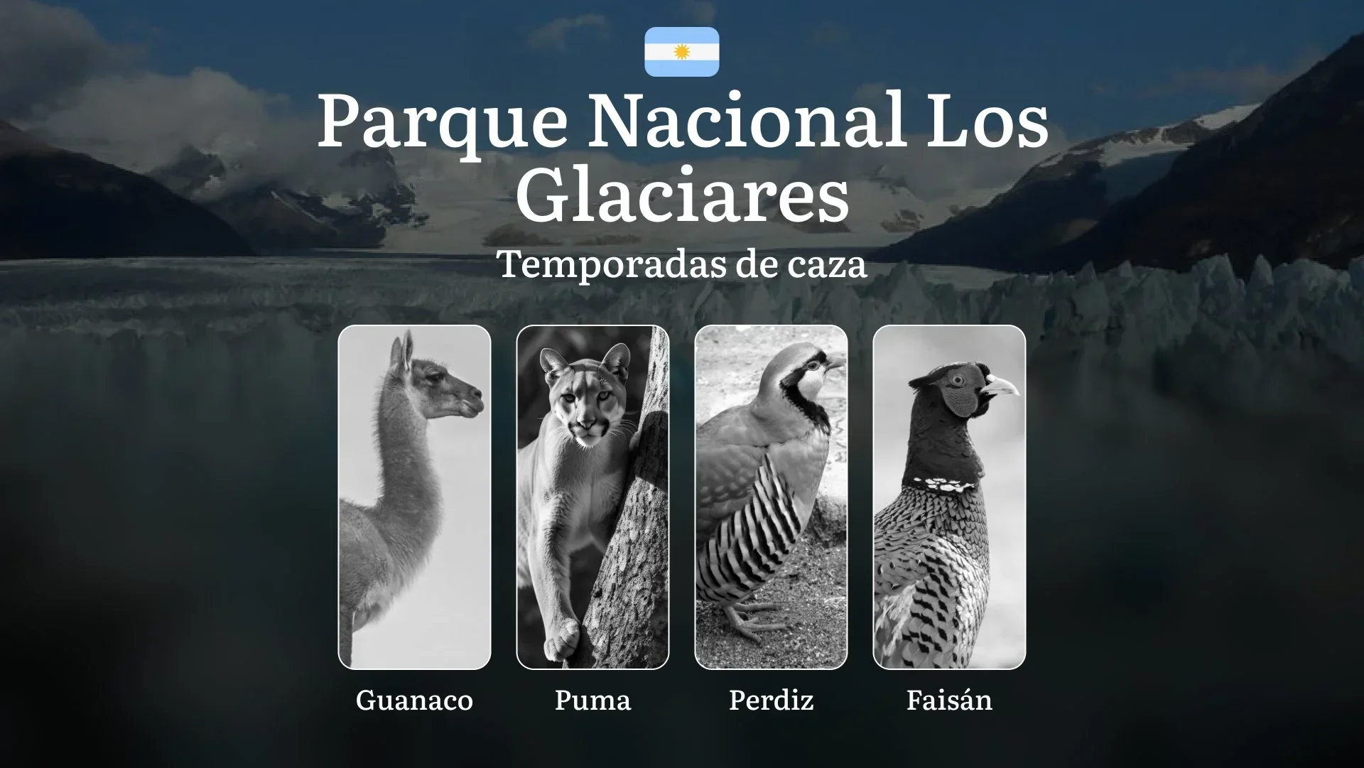 Parque Nacional Los Glaciares, Argentina: normas generales y temporadas, fechas, reglas y particularidades, restricciones y prohibiciones