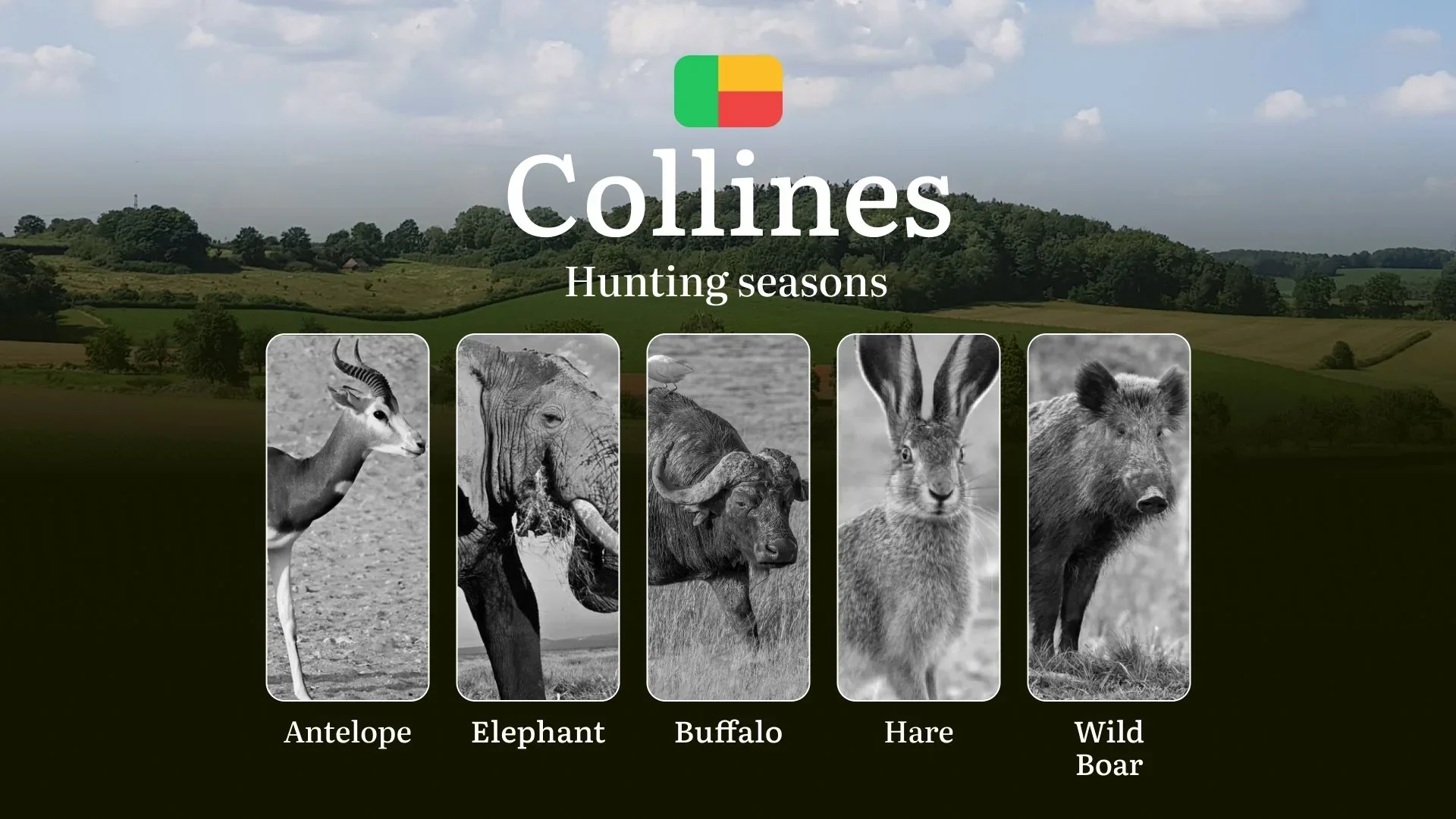 Hunting Seasons in Benin’s COLLINES Region: Hunting Periods, Licenses, Rules, Dates and Times for Hunting
