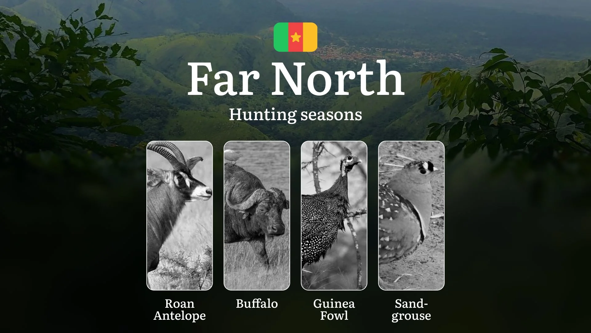 Hunting in Far North: Understanding Hunting Calendar, Legal Permits and Restrictions, Local Hunting Traditions Hunting in Far North: Understanding Hunting Calendar, Legal Permits and Restrictions, Local Hunting Traditions