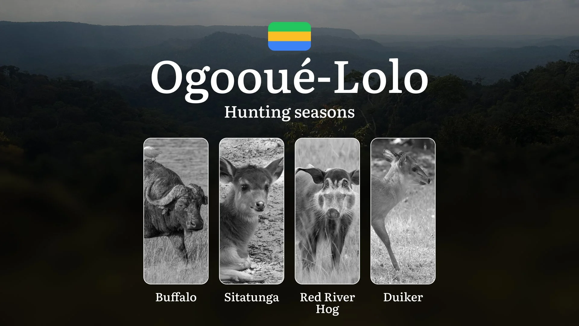 Hunting Seasons in OGOOUÉ-LOLO: Key Dates, Optimal Hunting Periods, Vital Regulations, Practical Tips, Licensing Process and Requirements