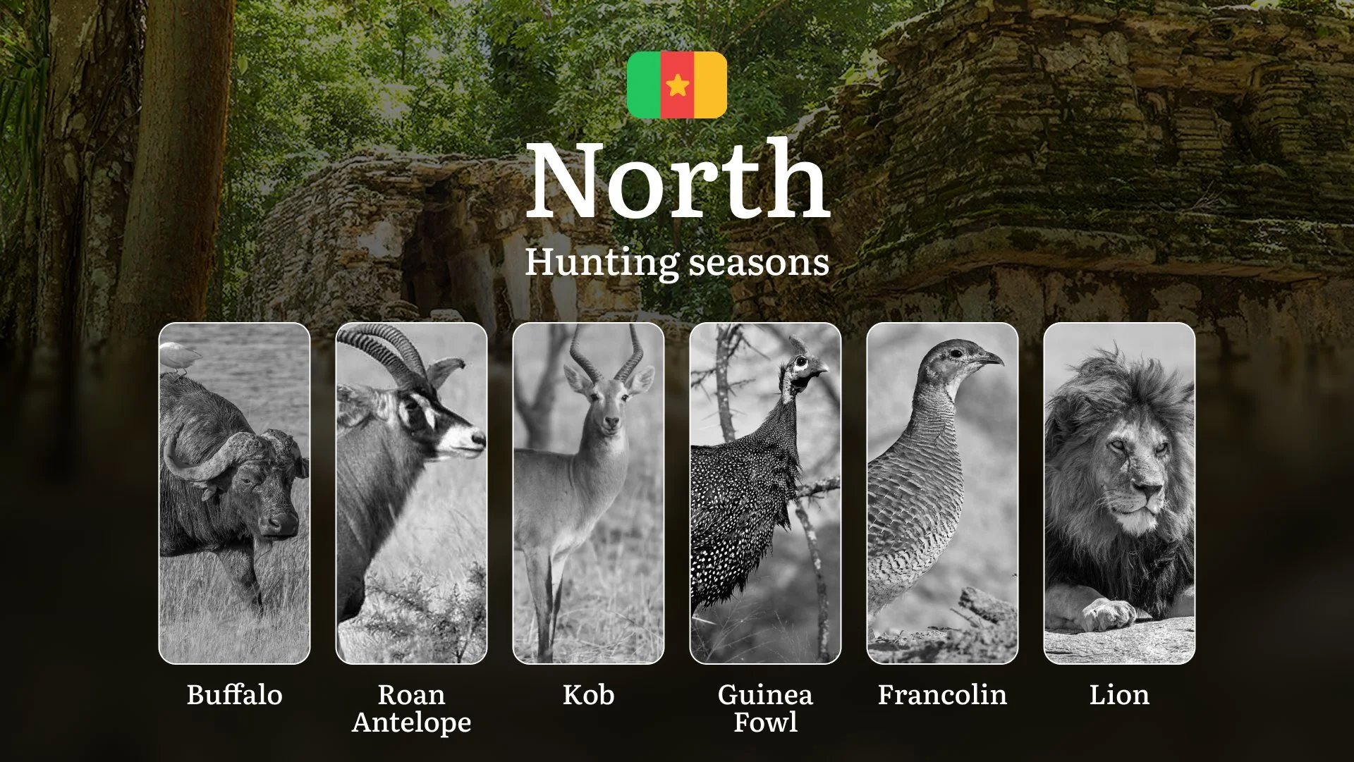 Hunting Laws and Seasons in North: General Hunting Rules, Permits, Restrictions & Time-Honored Events Hunting Laws and Seasons in North: General Hunting Rules, Permits, Restrictions & Time-Honored Events