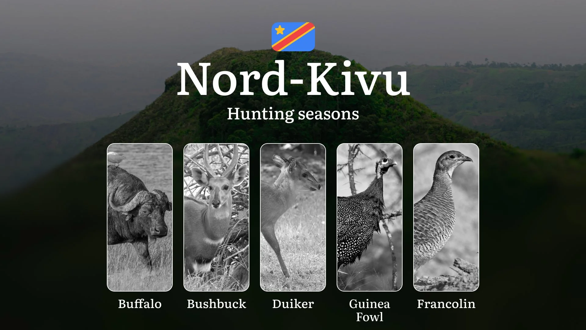 Nord-Kivu, DRC: Hunting Seasons and Timing, Species Restrictions, Licensing Requirements, Strategic Advice on Timing and Equipment 