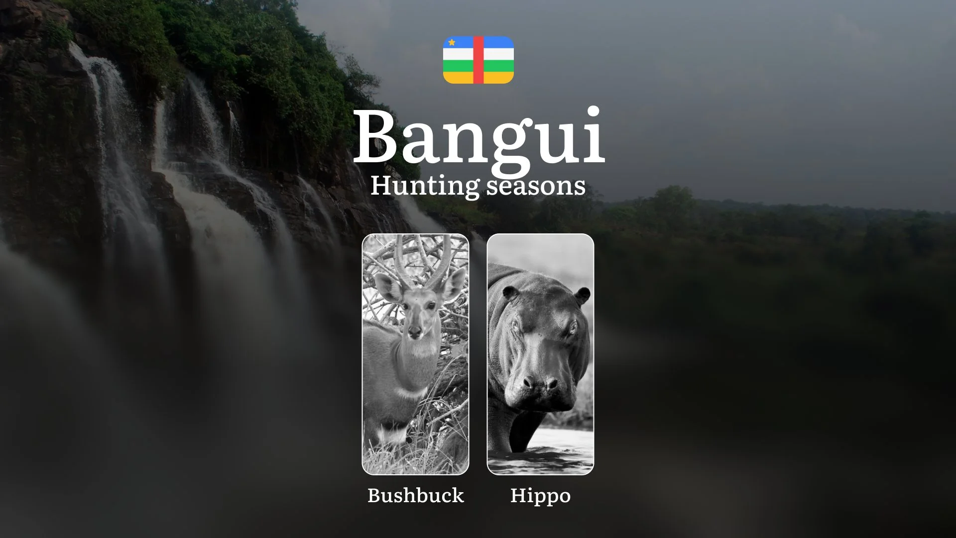 Hunting Through the Seasons in Bangui: Rules, Permits & Cultural Events and Traditions
