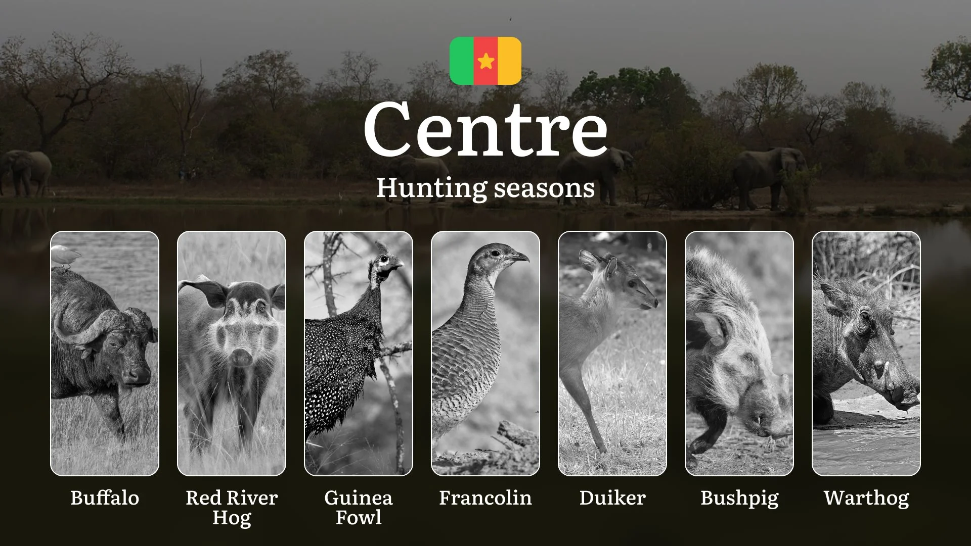 Hunting Calendar in Centre: The Thrill of Hunting Events and Traditions, Legislation & General Hunting Rules and Permits Hunting Calendar in Centre: The Thrill of Hunting Events and Traditions, Legislation & General Hunting Rules and Permits