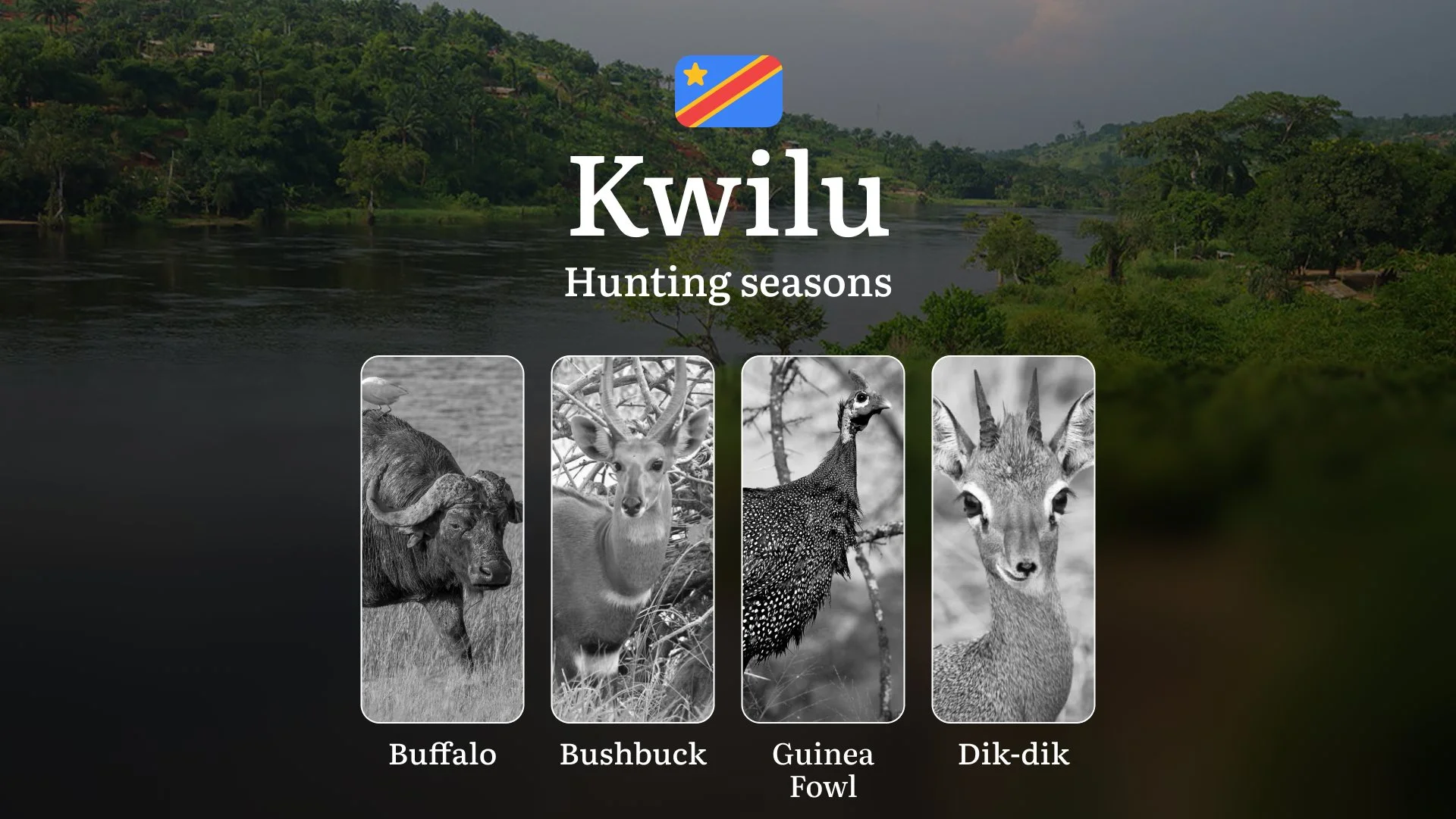 Kwilu (DRC): Hunting Seasons and Timing, Species Restrictions, Licensing Requirements, Strategic Advice on Timing and Equipment 