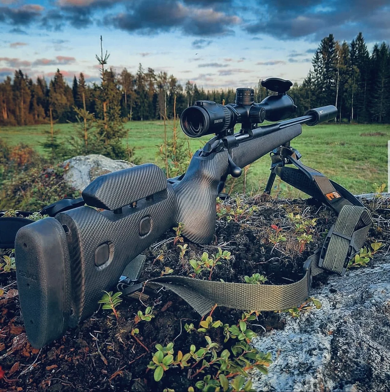Sako 85 Carbon Wolf: A Hunter's Honest Take on This High-Tech Stalker