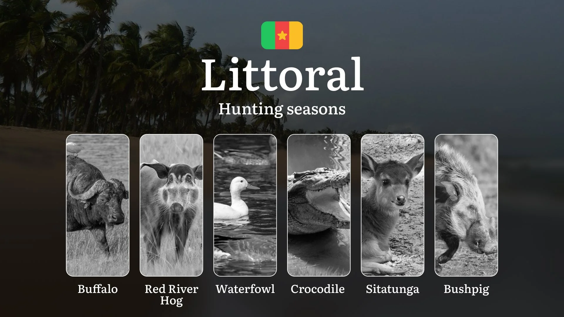 Hunting Seasons of Littoral: Exploring General Hunting Rules, Legislation and Permits, Hunter Events and Cultural Experiences Hunting Seasons of Littoral: Exploring General Hunting Rules, Legislation and Permits, Hunter Events and Cultural Experiences