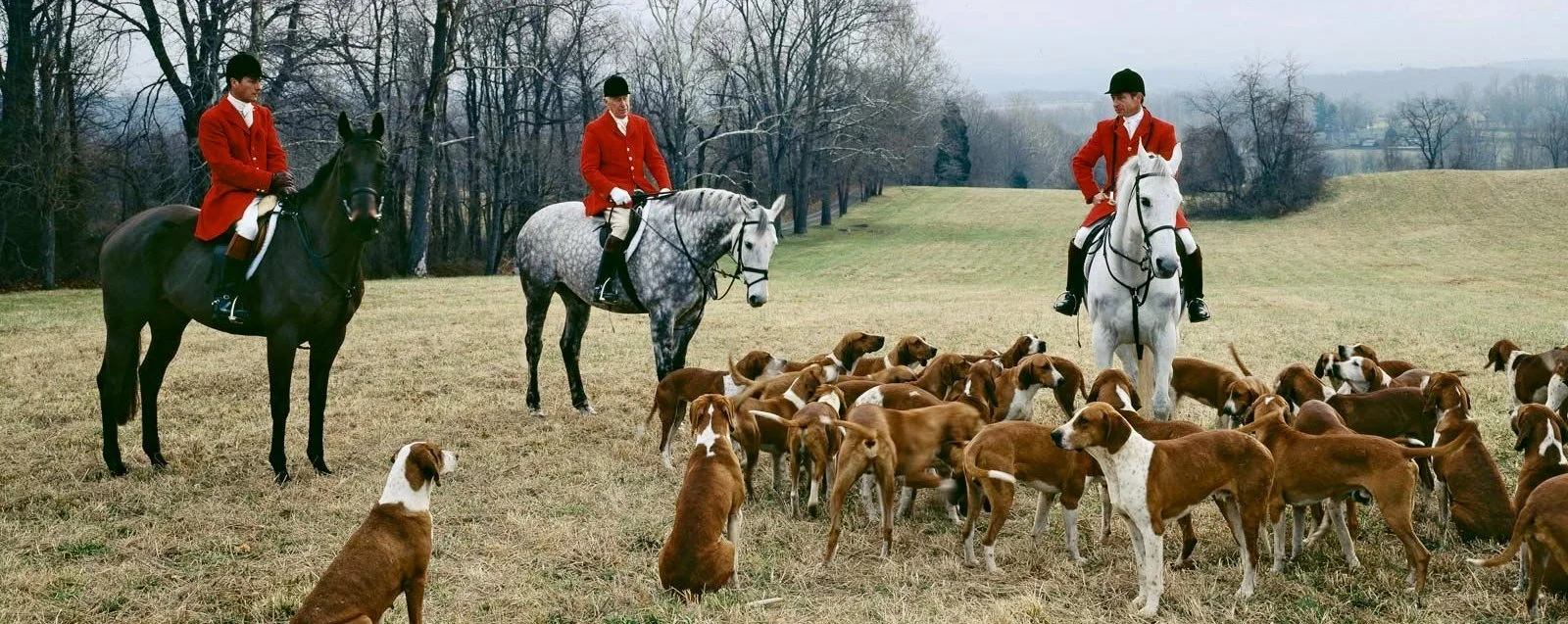 Hunting and shooting in the United Kingdom (UK) banner