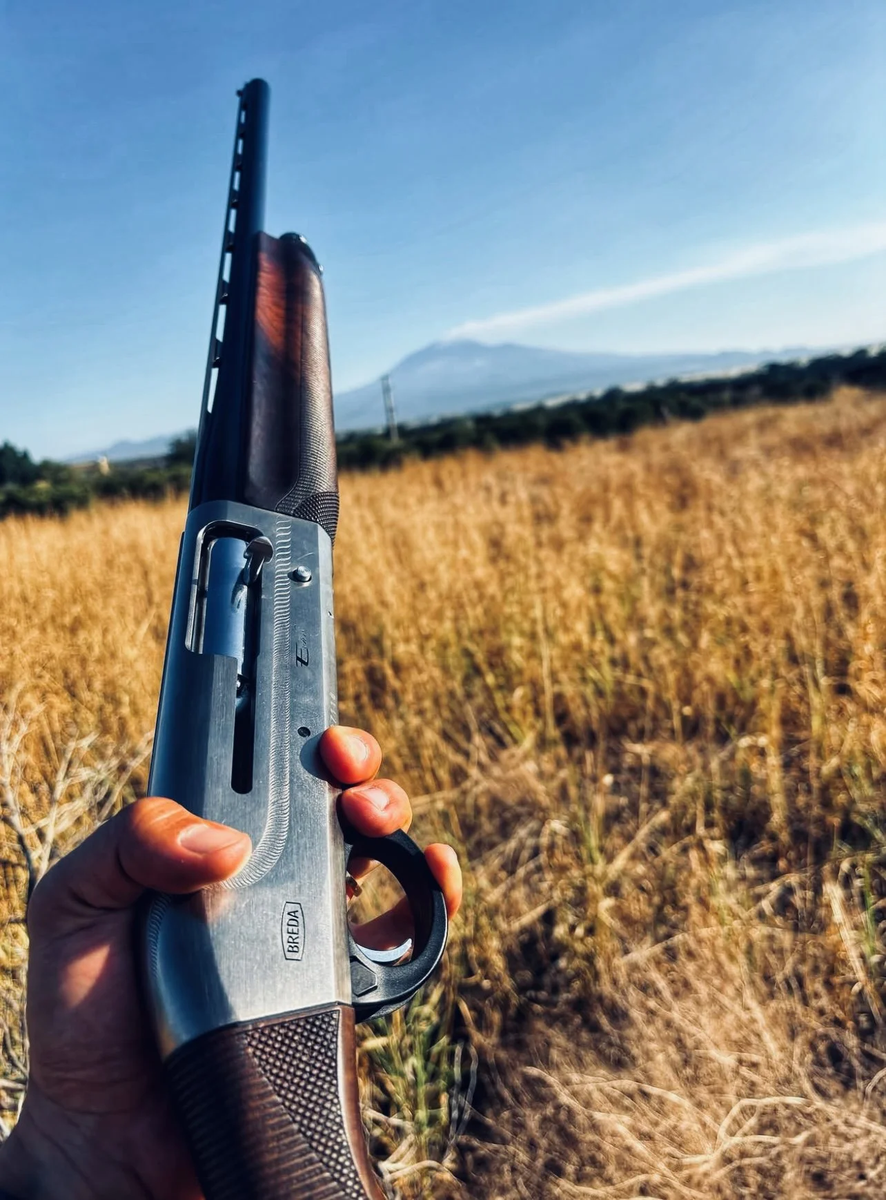 Breda Echo Shotgun Review — Models, Specs, Price, Hunting Use & Real Shooter Feedback