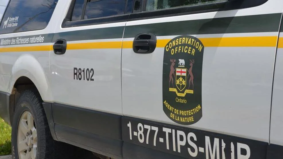 Two Ottawa-Area Hunters Fined $8,950 for Illegal Moose Hunt in Mer Bleue Bog 