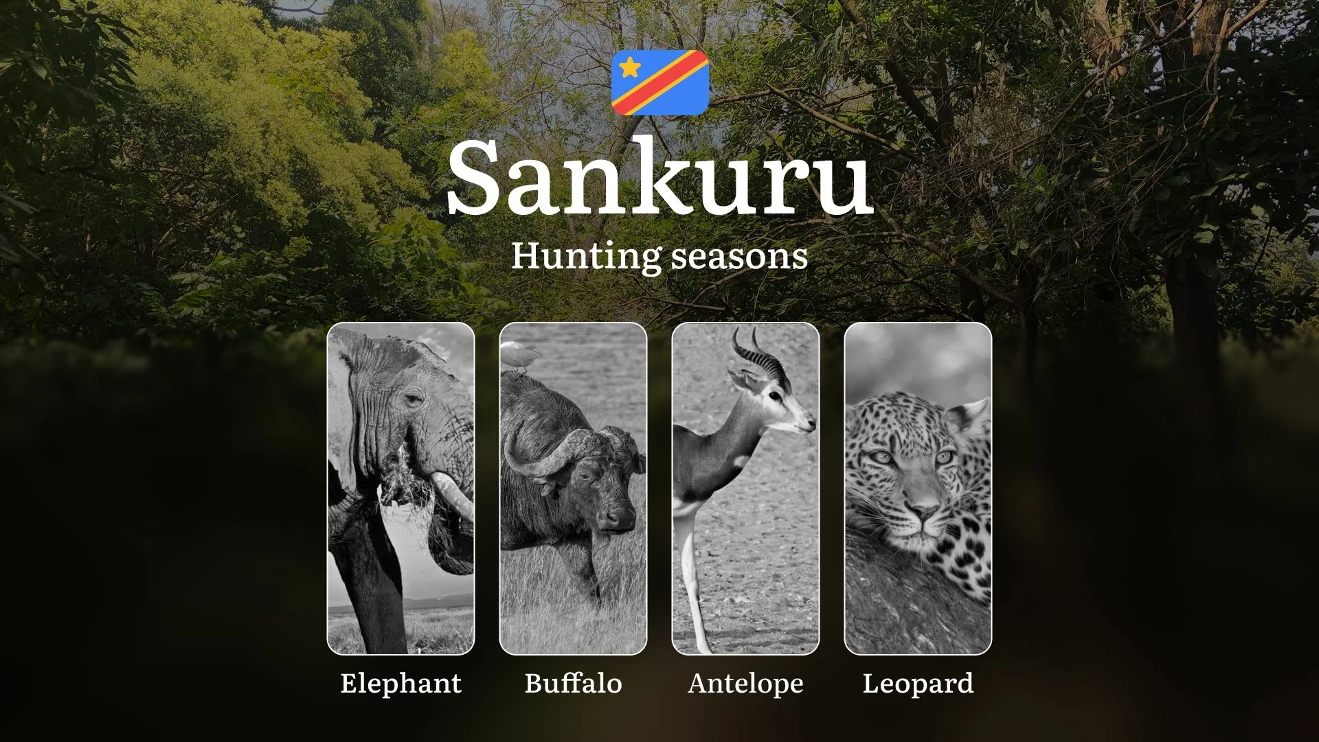 Hunting Calendar for Sankuru (DRC): Regional Hunting Rules, Licensing Procedures, Off-Season Violation Penalties, and Strategic Advice on Timing, Equipment, and Techniques 