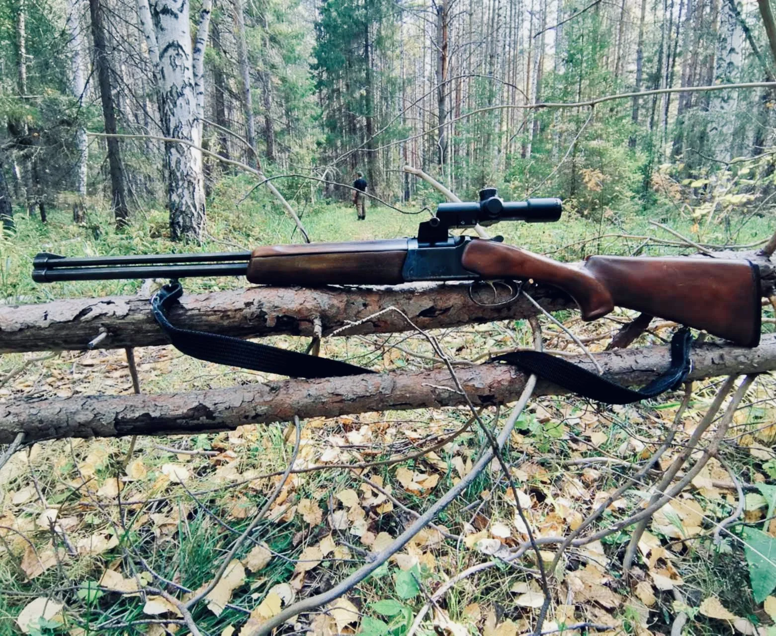 ИЖ-94 «Север»: обзор охотничьего ружья, характеристики, модификации, калибры, отзывы, цена, дальность стрельбы.