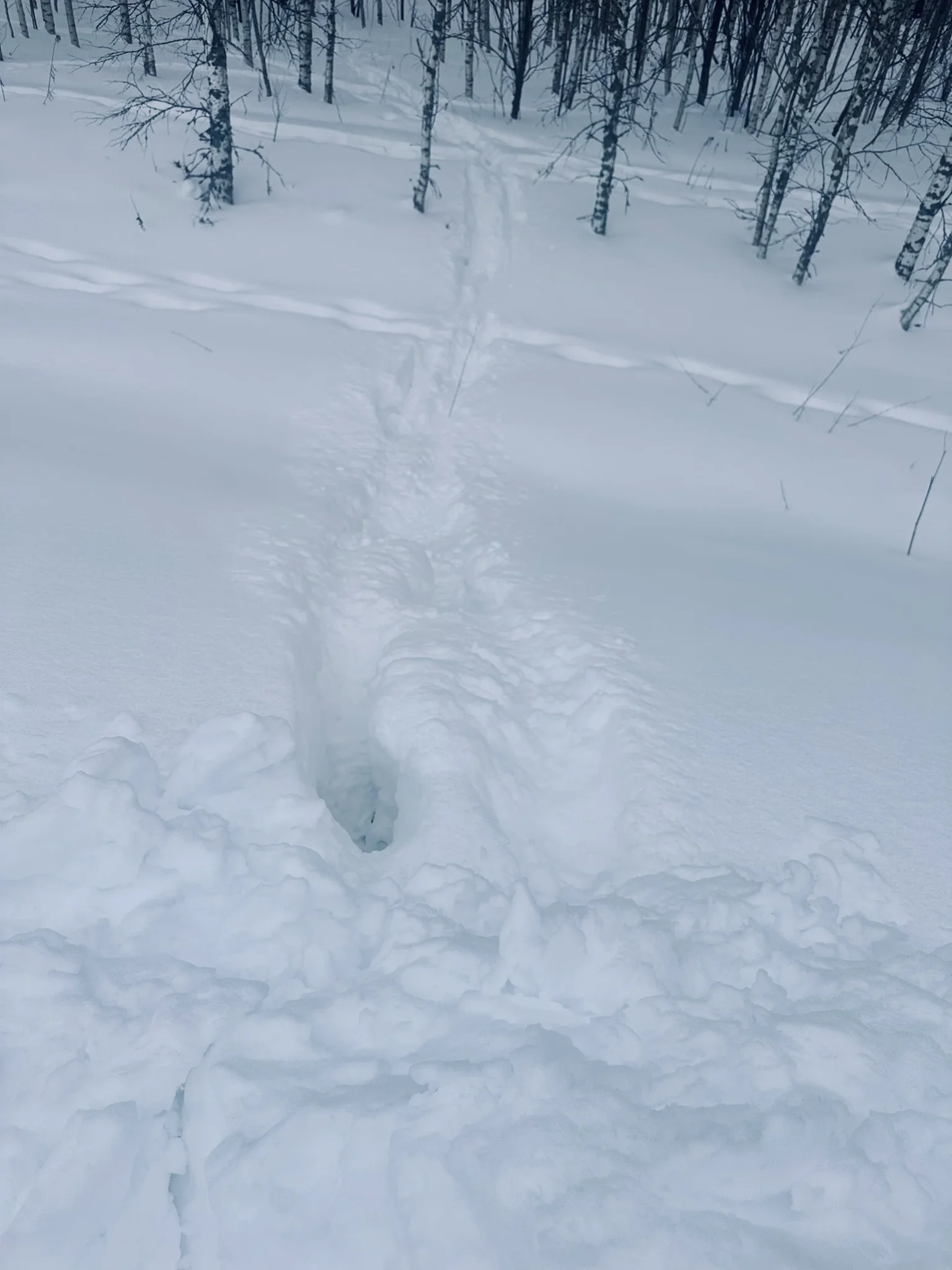 С днем Св.